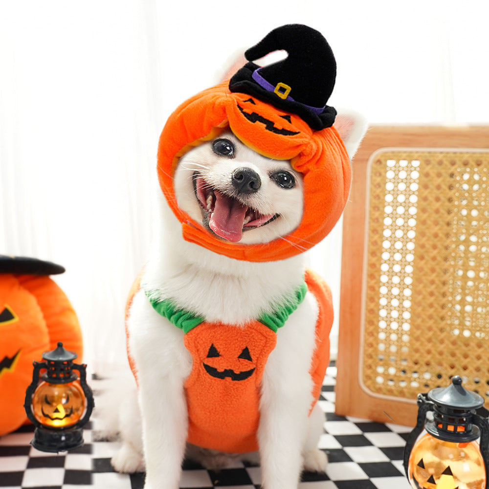 Halloween Pumpkin Vest For Dogs Cats Festive Pet Costume Harness Funny Thanksgiving Christmas Apparel For Small Animals Clothing