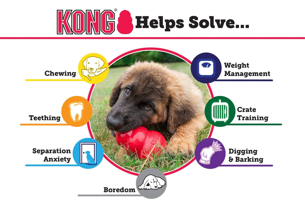 KONG Classic Dog Toy | Interactive Treat & Enrichment Toy