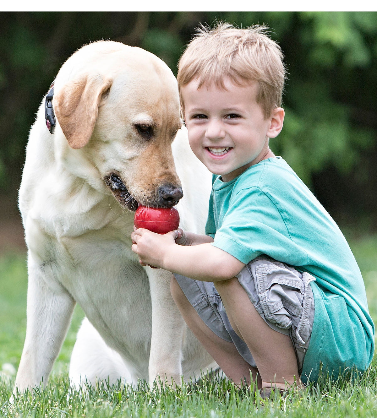 KONG Classic Dog Toy | Interactive Treat & Enrichment Toy
